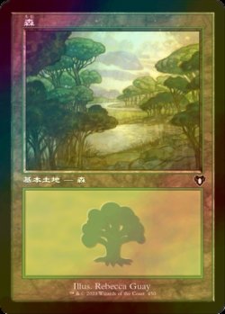 画像1: [FOIL] 森/Forest No.450 (旧枠) 【日本語版】 [CMM-土地C]