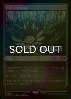 画像1: [FOIL] 下生えの競技場/Undergrowth Stadium (エッチング仕様) 【日本語版】 [CMM-土地R]