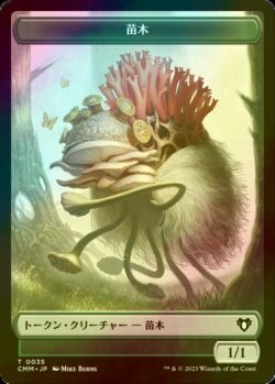 画像1: [FOIL] 苗木/SAPROLING 【日本語版】 [CMM-トークン]