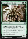 飼い馴らされたハイドラ/Domesticated Hydra 【英語版】 [CN2-緑U]