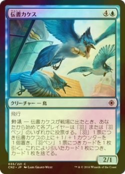 画像1: [FOIL] 伝書カケス/Messenger Jays 【日本語版】 [CN2-青C]