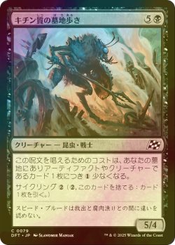 画像1: [FOIL] キチン質の墓地歩き/Chitin Gravestalker 【日本語版】 [DFT-黒C]