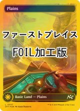 [FOIL] 平地/Plains No.507 (全面アート版・ファーストプレイス・フォイル仕様) 【英語版】 [DFT-土地C]