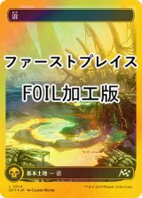 [FOIL] 沼/Swamp No.514 (全面アート版・ファーストプレイス・フォイル仕様) 【日本語版】 [DFT-土地C]