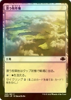 画像1: [FOIL] 漂う牧草地/Drifting Meadow 【日本語版】 [DMR-土地C]