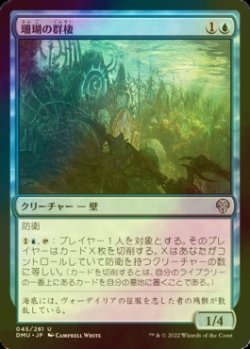 画像1: [FOIL] 珊瑚の群棲/Coral Colony 【日本語版】 [DMU-青U]