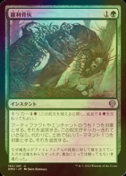 画像1: [FOIL] 羅利骨灰/Tear Asunder 【日本語版】 [DMU-緑U]