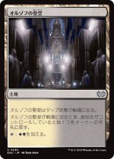 オルゾフの聖堂/Orzhov Basilica 【日本語版】 [DSC-土地U]