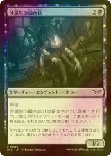 [FOIL] 付属肢の融合体/Appendage Amalgam 【日本語版】 [DSK-黒C]