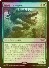 [FOIL] 雑食性ハエトリグサ/Omnivorous Flytrap 【日本語版】 [DSK-緑R]