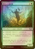 [FOIL] 草むした盲信者/Overgrown Zealot 【日本語版】 [DSK-緑U]