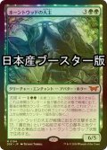 [FOIL] ホーントウッドの大主/Overlord of the Hauntwoods ● (日本産ブースター版) 【日本語版】 [DSK-緑MR]