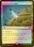 [FOIL] フラッドファームの境界/Floodfarm Verge 【日本語版】 [DSK-土地R]