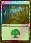 [FOIL] 森/Forest No.286 【日本語版】 [DSK-土地C]