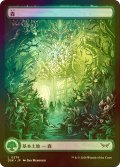 [FOIL] 森/Forest (全面アート版) 【日本語版】 [DSK-土地C]