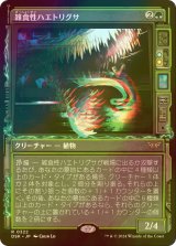 [FOIL] 雑食性ハエトリグサ/Omnivorous Flytrap (ショーケース・海外産ブースター版) 【日本語版】 [DSK-緑R]