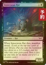 [FOIL] 無害なネズミ/Innocuous Rat 【英語版】 [DSK-黒C] (予約Z)