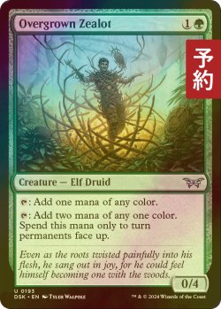 画像1: [FOIL] 草むした盲信者/Overgrown Zealot 【英語版】 [DSK-緑U] (予約Z)