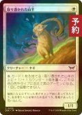 [FOIL] 取り憑かれた山羊/Possessed Goat 【日本語版】 [DSK-白C] (予約Z)