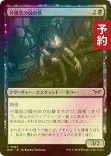 [FOIL] 付属肢の融合体/Appendage Amalgam 【日本語版】 [DSK-黒C] (予約Z)