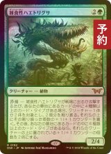 [FOIL] 雑食性ハエトリグサ/Omnivorous Flytrap 【日本語版】 [DSK-緑R] (予約Z)