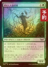 [FOIL] 草むした盲信者/Overgrown Zealot 【日本語版】 [DSK-緑U] (予約Z)