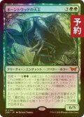 [FOIL] ホーントウッドの大主/Overlord of the Hauntwoods (海外産ブースター版) 【日本語版】 [DSK-緑MR] (予約Z)