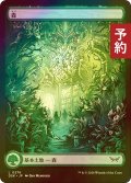 [FOIL] 森/Forest (全面アート版) 【日本語版】 [DSK-土地C] (予約Z)