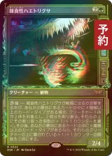 [FOIL] 雑食性ハエトリグサ/Omnivorous Flytrap (ショーケース・海外産ブースター版) 【日本語版】 [DSK-緑R] (予約Z)