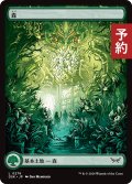 森/Forest (全面アート版) 【日本語版】 [DSK-土地C] (予約Y)