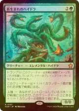 [FOIL] 苔生まれのハイドラ/Mossborn Hydra 【日本語版】 [FDN-緑R]