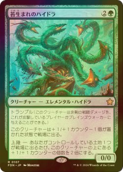 画像1: [FOIL] 苔生まれのハイドラ/Mossborn Hydra 【日本語版】 [FDN-緑R]