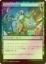 [FOIL] ブランチウッドの鎧/Blanchwood Armor 【日本語版】 [FDN-緑U]