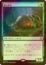 [FOIL] 漁る軟泥/Scavenging Ooze 【日本語版】 [FDN-緑R]