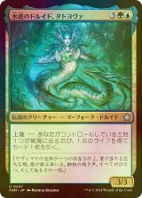 [FOIL] 水底のドルイド、タトヨヴァ/Tatyova, Benthic Druid 【日本語版】 [FDN-金U]