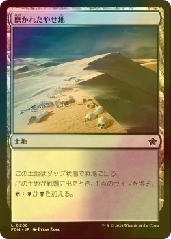 画像1: [FOIL] 磨かれたやせ地/Scoured Barrens 【日本語版】 [FDN-土地C]