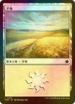 画像1: [FOIL] 平地/Plains No.273 【日本語版】 [FDN-土地C]