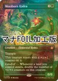 [FOIL] 苔生まれのハイドラ/Mossborn Hydra (全面アート版・マナ・フォイル仕様) 【英語版】 [FDN-緑R]