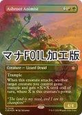 [FOIL] 灰根の精霊信者/Ashroot Animist (全面アート版・マナ・フォイル仕様) 【英語版】 [FDN-金R]