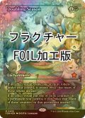 [FOIL] 倍増の季節/Doubling Season (ジャパン・ショーケース版・フラクチャー・フォイル仕様) 【英語版】 [FDN-緑MR]