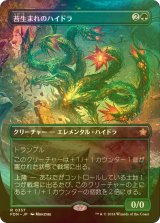 [FOIL] 苔生まれのハイドラ/Mossborn Hydra (全面アート版) 【日本語版】 [FDN-緑R]