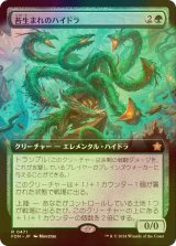 [FOIL] 苔生まれのハイドラ/Mossborn Hydra (拡張アート版) 【日本語版】 [FDN-緑R]