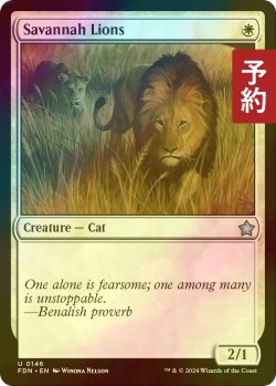 画像1: [FOIL] サバンナ・ライオン/Savannah Lions 【英語版】 [FDN-白U] (予約B)