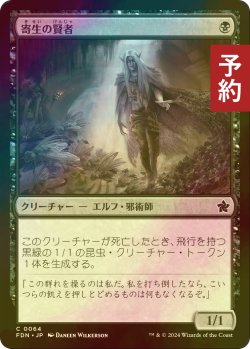 画像1: [FOIL] 寄生の賢者/Infestation Sage 【日本語版】 [FDN-黒C] (予約B)