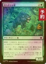 [FOIL] 待ち伏せる狼/Ambush Wolf 【日本語版】 [FDN-緑C] (予約B)