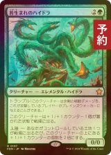 [FOIL] 苔生まれのハイドラ/Mossborn Hydra 【日本語版】 [FDN-緑R] (予約B)