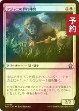 [FOIL] アジャニの群れ仲間/Ajani's Pridemate 【日本語版】 [FDN-白U] (予約B)