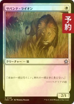 画像1: [FOIL] サバンナ・ライオン/Savannah Lions 【日本語版】 [FDN-白U] (予約B)