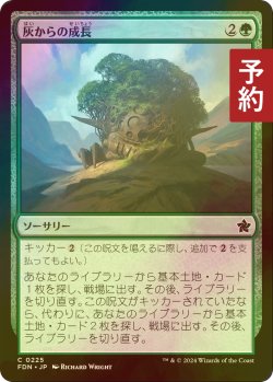 画像1: [FOIL] 灰からの成長/Grow from the Ashes 【日本語版】 [FDN-緑C] (予約B)