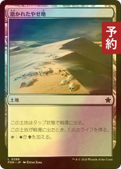 画像1: [FOIL] 磨かれたやせ地/Scoured Barrens 【日本語版】 [FDN-土地C] (予約B)